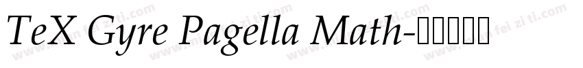 TeX Gyre Pagella Math字体转换